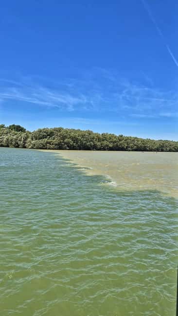 Belgrade: Guided Sightseeing Cruise, Danube and Sava rivers - Practical Tips for Booking and Experience