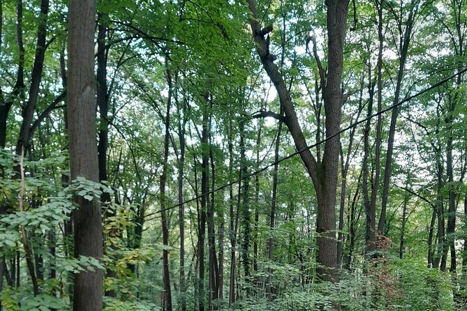 Belgrade Hiking Tour On Mountain Avala - Climbing to the Avala Tower for Panoramic Views