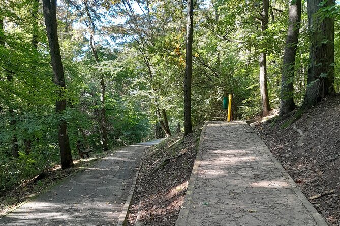Belgrade Hiking Tour On Mountain Avala - Descending Through Forested Wilderness to Vasa Arapi’s Memorial