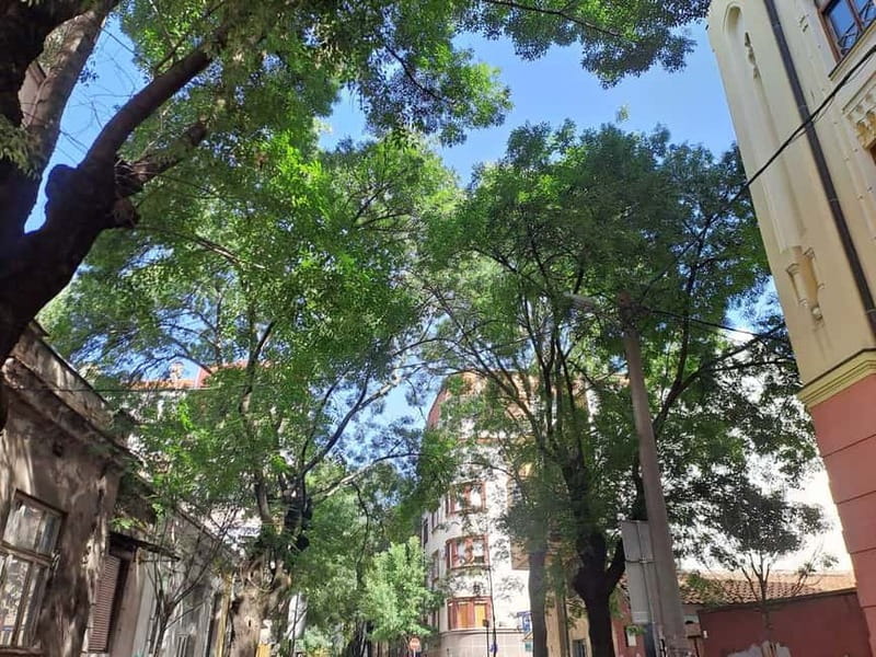 Belgrade: Jewish walking tour - Strolling Along Kralja Petra Street