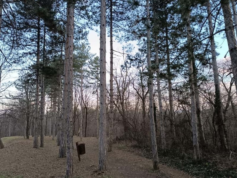 Belgrade: Kosutnjak forest hiking tour - Key Points