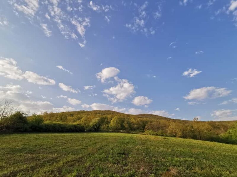 Belgrade: Mount Kosmaj Hike with Lunch and Pickup - Key Points