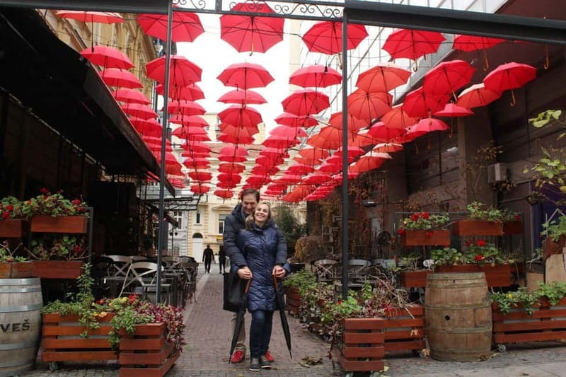 Belgrade Private City Tour - Tito’s Legacy at the Museum of Yugoslavia and House of Flowers