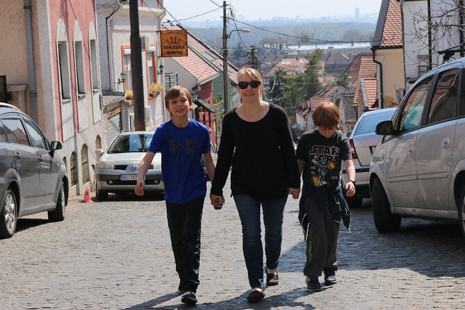 Belgrade Private City Tour  Metropolis Between East and West - Optional Truffle Tasting and Local Flavors