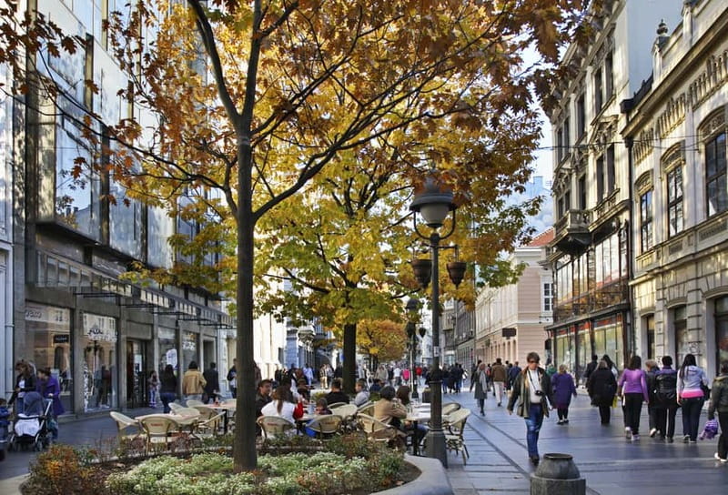 Belgrade: Shared Group or Private Guided Walking Tour - Belgrade’s History and Architecture in Focus