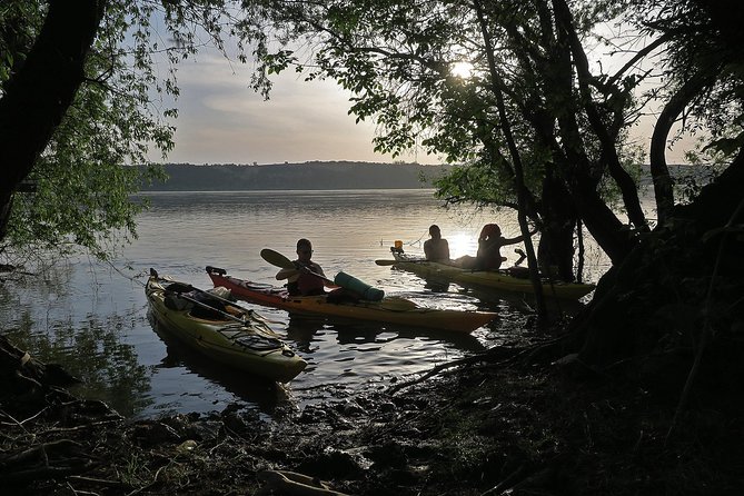 Belgrade War Island Kayak Tour - What makes the Belgrade War Island Kayak Tour stand out