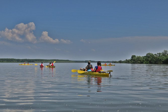 Belgrade War Island Kayak Tour - Why this Kayak Tour is Highly Praised by Participants