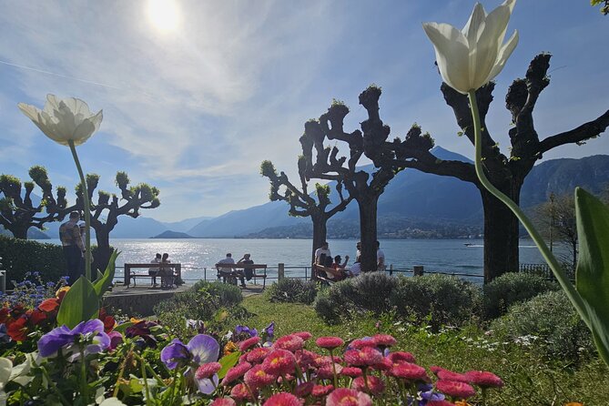 Bellagio & Varenna Full-day Tour on Lake Como - Lunch at a Local Bellagio Restaurant