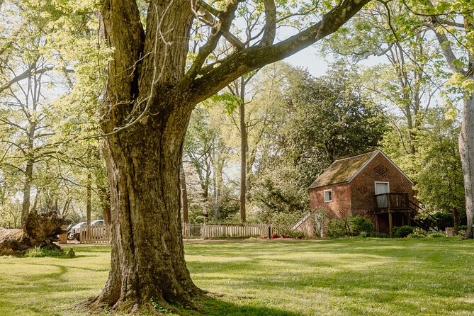 Belle Meade Guided Mansion Tour with Complimentary Wine Tasting - Exploring the Grounds and Outbuildings