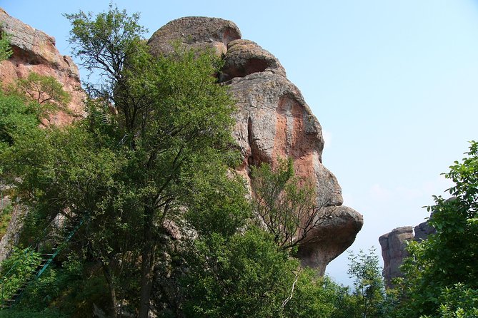 Belogradchik Full-day Tour from Sofia - Practical Aspects: Guided Service and Accessibility