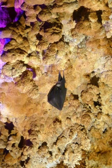 Belogradchik Rocks & Venetsa cave- small group tour - Walking Off the Beaten Path in Belogradchik