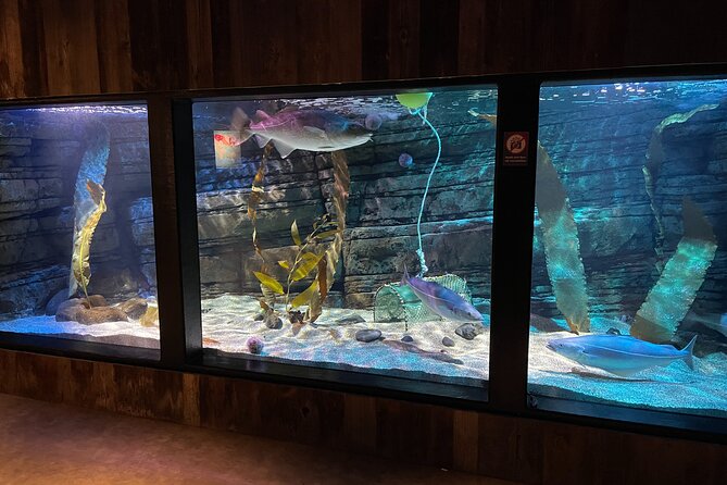 Beluga and Puffin Sanctuary Visitor Centre with Aquarium - Practical Details: Access and Timing