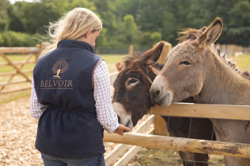 Belvoir Castle: Castle, Gardens and Ground Entry - Shopping and Dining at the Retail Village