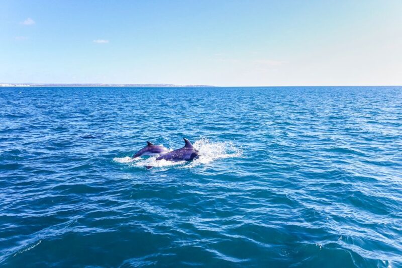 Benagil: Benagil Caves and Secret Spots Guided Kayaking Tour - Optimal Timing and Crowd Control Tips