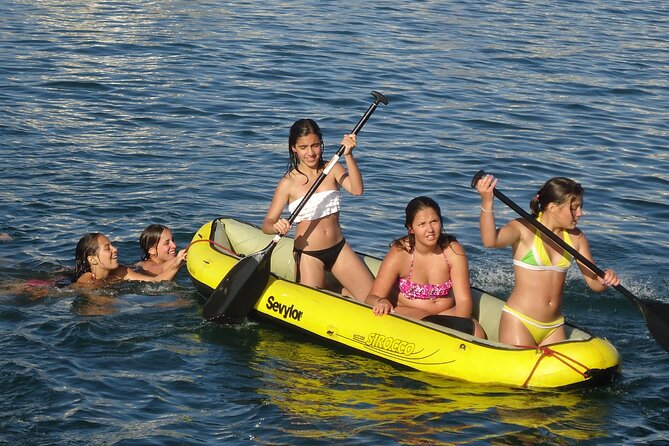 Benagil Cave & Beach BBQ - Dolphin Sightings and Other Marine Encounters