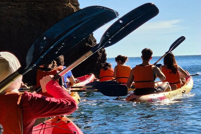 Benagil Cave Guided Kayaking Tour Caves & Secret Spots - Common Challenges and Practical Tips