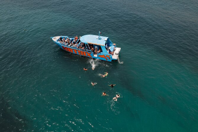 Benagil Caves and Dolphin Watching - 2.5h - The Optional Swim Stop and Marine Environment