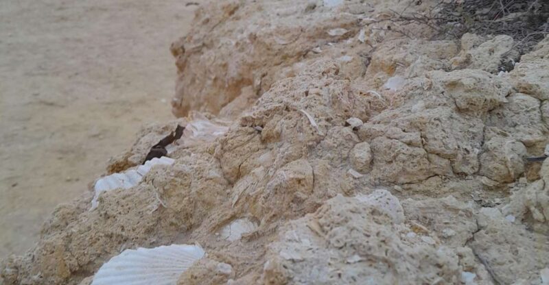 Benagil E-bike tour - Key Points