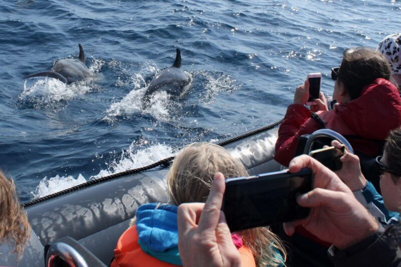 Benagil Tour - Practical Details: Timing, Languages, and Booking Flexibility