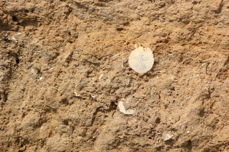 Benagil Tour - Comparing the Benagil Tour to Similar Experiences