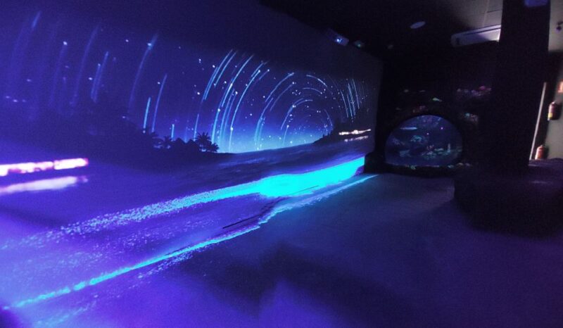 Benalmadena Aquarium Visit - Exploring the Mediterranean Ocean Zone