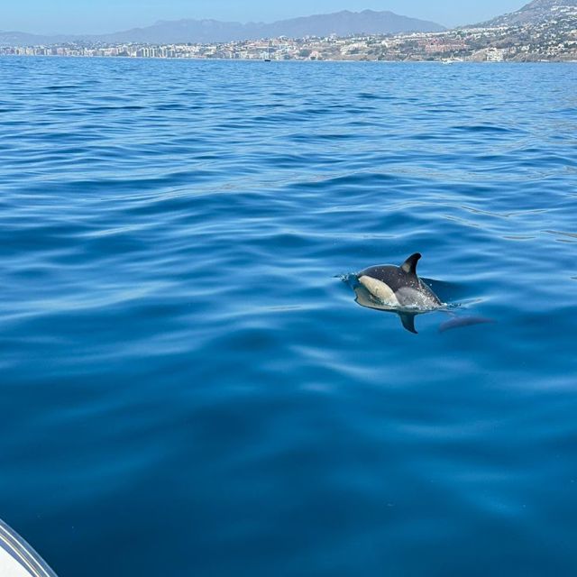 Benalmadena: Boat Rental in Malaga for hours - Starting Point at Oceanautic in Puerto Benalmádena