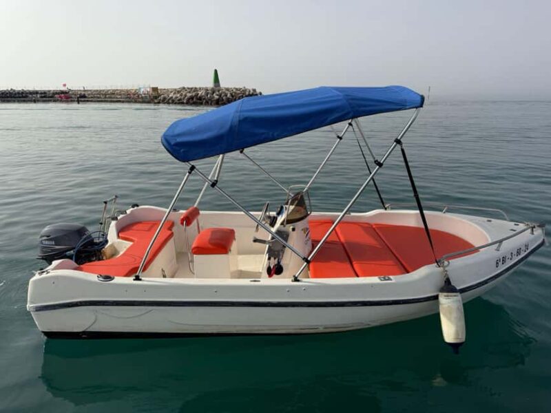 Benalmádena: Boat Rentals License-Free, Fish & Dolphins - Snorkeling and Marine Life in Hidden Coves