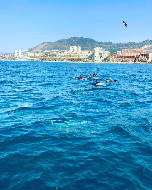 Benalmádena: Costa del Sol License-Free Boat Rental - What You Can Do During Your Time on the Water