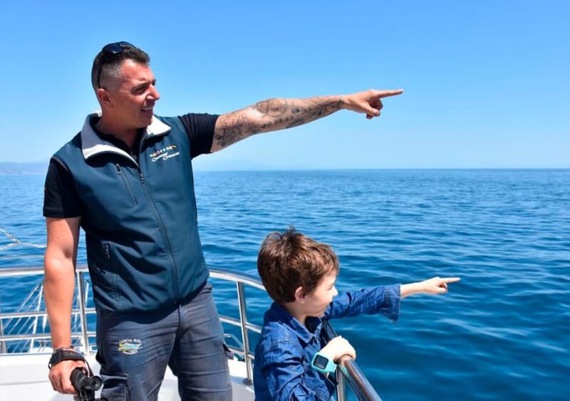 Benalmadena: Dolphin Watching Boat Tour - Scenic Routes and Changing Views Based on Conditions