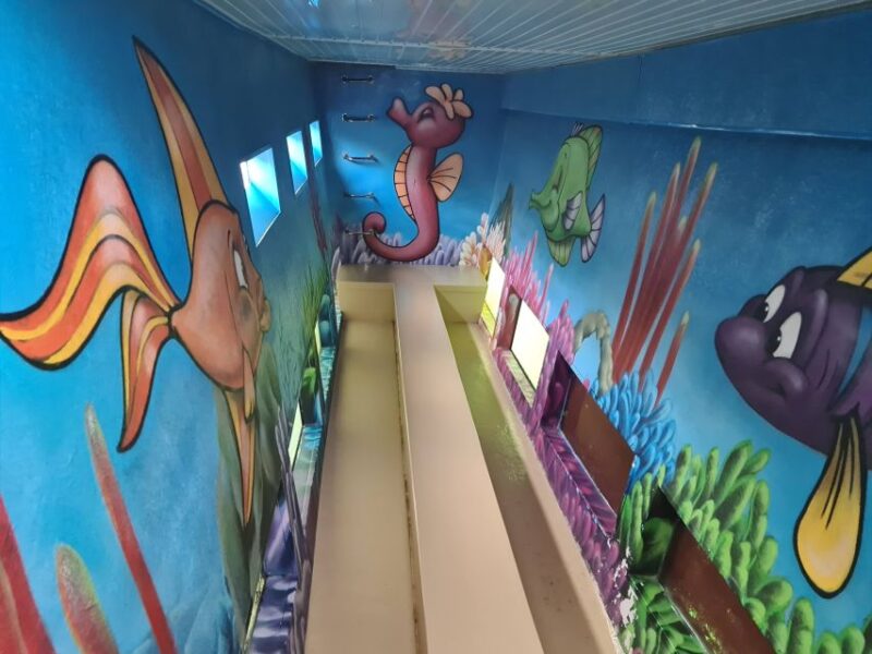 Benalmadena: Dolphin Watching Boat Tour - The Likelihood of Dolphin and Marine Life Sightings