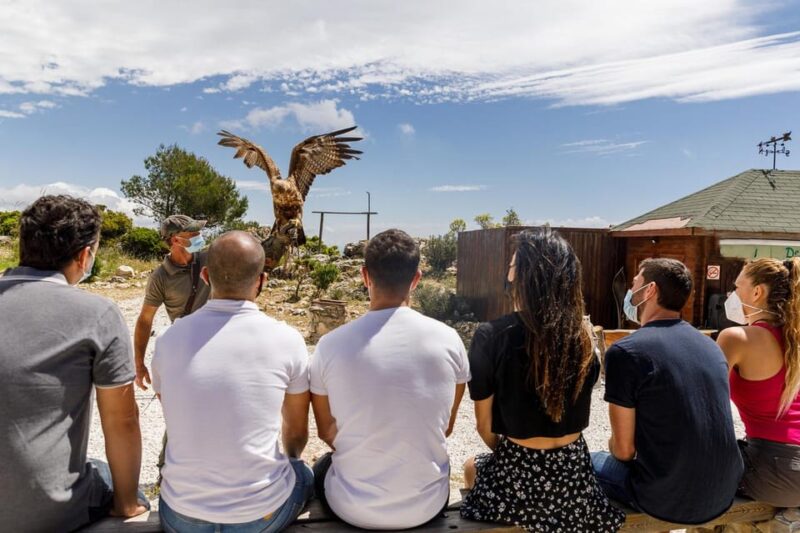 Benalmádena: Mount Calamorro Cable Car Ticket - Who Will Love This Tour?