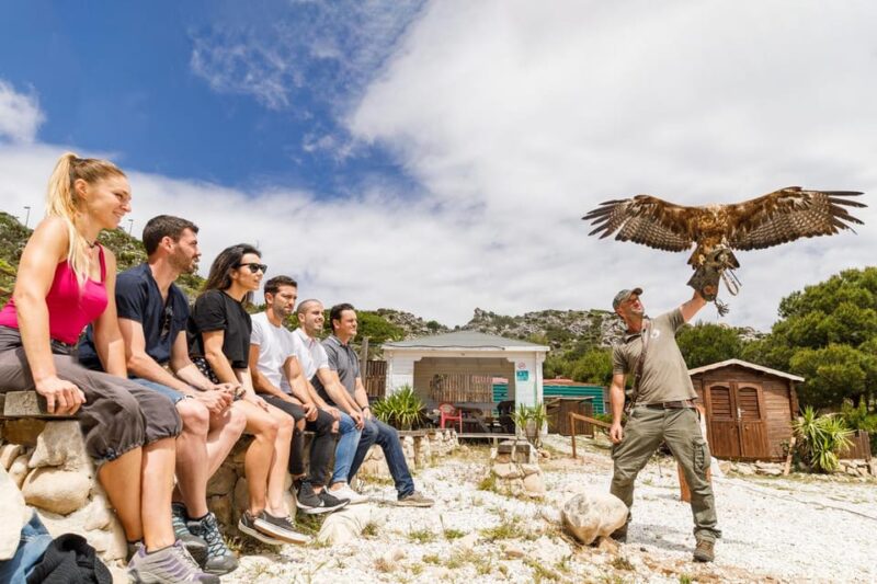 Benalmádena: Mount Calamorro Cable Car Ticket - Mount Calamorro Cable Car: A Worthwhile Panoramic Escape