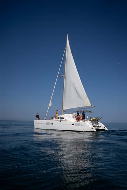 Benalmádena: Sailing & Dolphin Watching with Snacks/Drinks - Comparing Private and Shared Tours