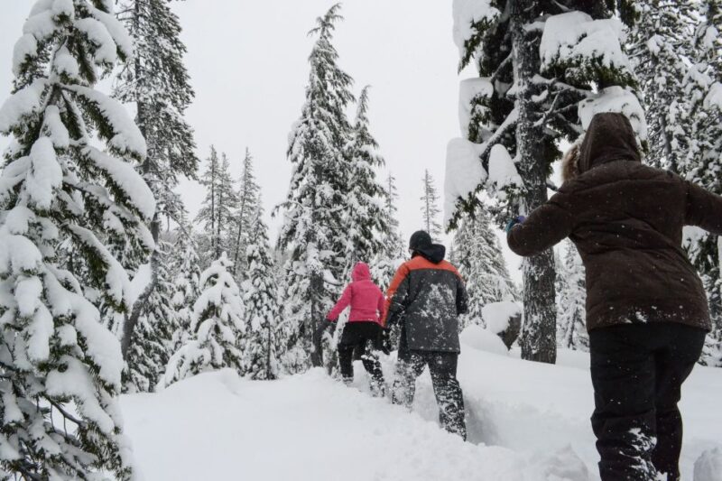 Bend: Half-Day Snowshoe Tour in the Cascade Mountain Range - Food, Drink, and Warmth During the Tour
