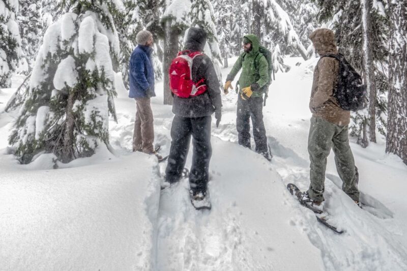 Bend: Half-Day Snowshoe Tour in the Cascade Mountain Range - Physical Requirements and Accessibility