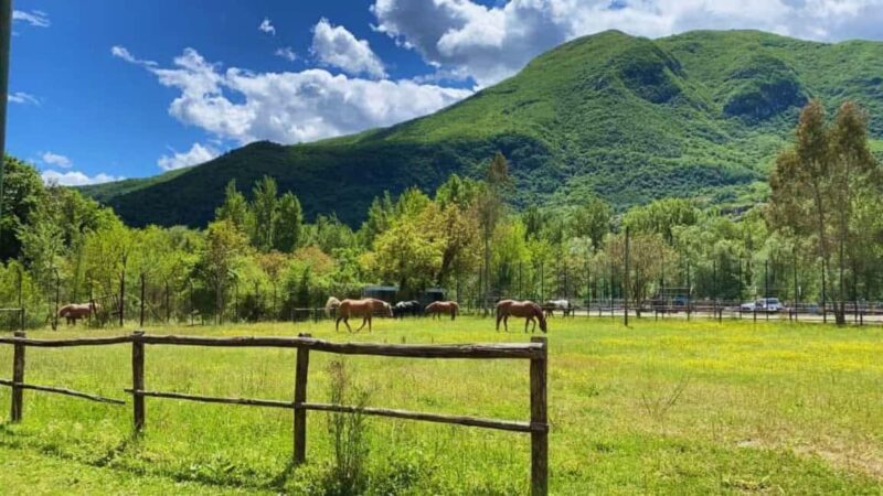 Benevento: Horseback Riding Tour with Aperitif - Key Points