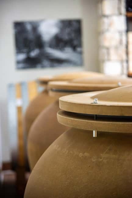 Benevento: picnic among the olive groves of the Sannio and tour of the estate - The Picnic: Local Flavors in the Olive Groves