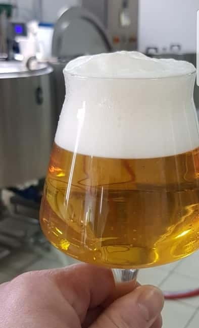 Benevento: visit and tasting at a brewery in Apollosa - The Role of Vincenzo: Master Brewer and Guide