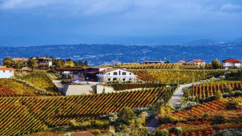 Benevento: Winery Tour with Wine Tasting and Snacks - Benevento Winery Tour in the Heart of Campania