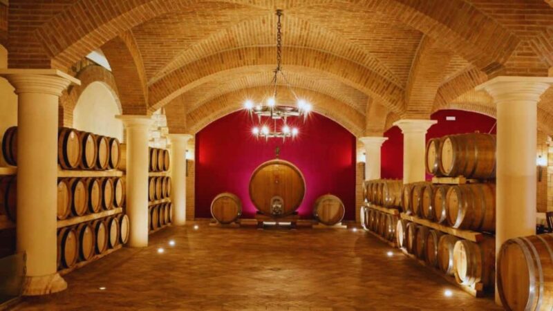 Benevento: Winery Tour with Wine Tasting and Snacks - What’s Included in the Wine and Food Tasting Experience