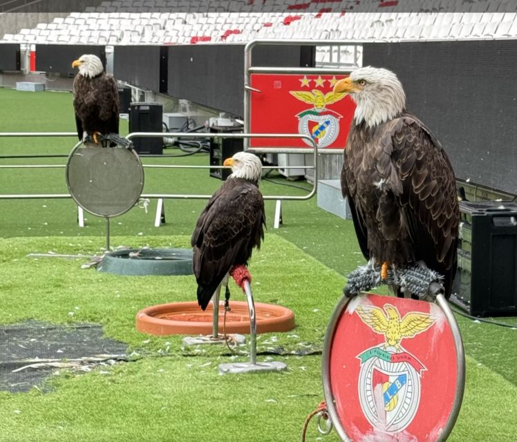 Benfica Stadium and Museum Tour - The Experience of Walking Out onto the Field