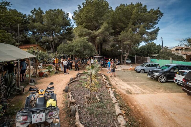 Benidorm: Buggy tour to the riverbed or Algar waterfalls - Who Will Enjoy This Tour Most