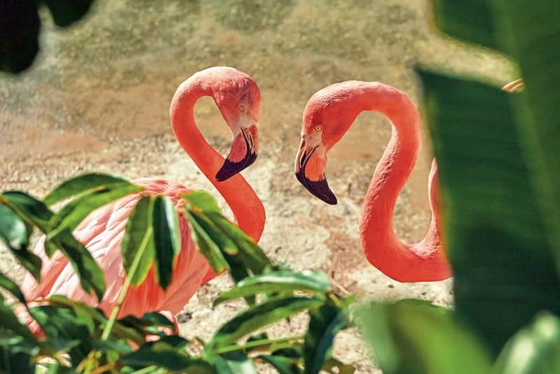 Benidorm: Mundomar Animal Park Entrance Ticket - Park Facilities and Amenities for a Comfortable Visit