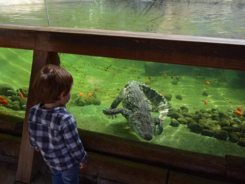 Benidorm: Terra Natura and Aqua Natura Combo Day Ticket - Visitor-Friendly Accessibility and Family Areas