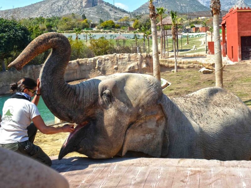 Benidorm: Terra Natura and Aqua Natura Combo Day Ticket - Reviews and Practical Tips for a Smooth Day Out