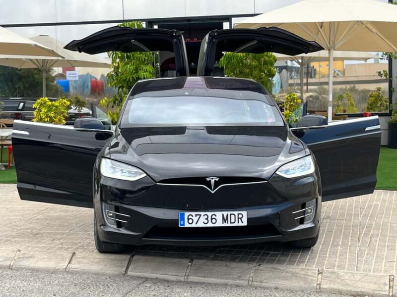 Benidorm: TESLA falcon wings tour to Museo del Motor - Who Will Love the Tesla Falcon Wings Tour?