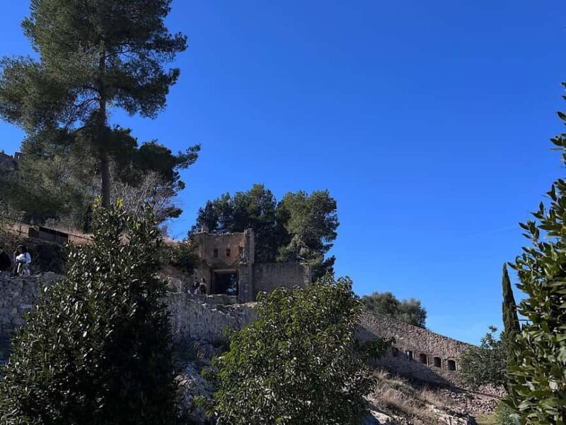 Benidorm: Xátiva Private Day Trip with Castle Visit - Exploring Xátiva’s Historic Center and Medieval Streets