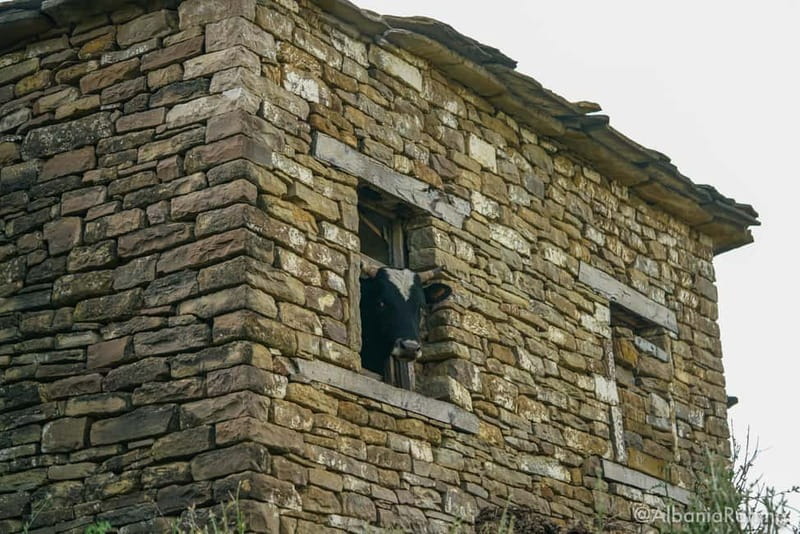 Berat: 3-Day Tomorr Mountain Camping Adventure - Practicalities: Meals, Guides, and Safety