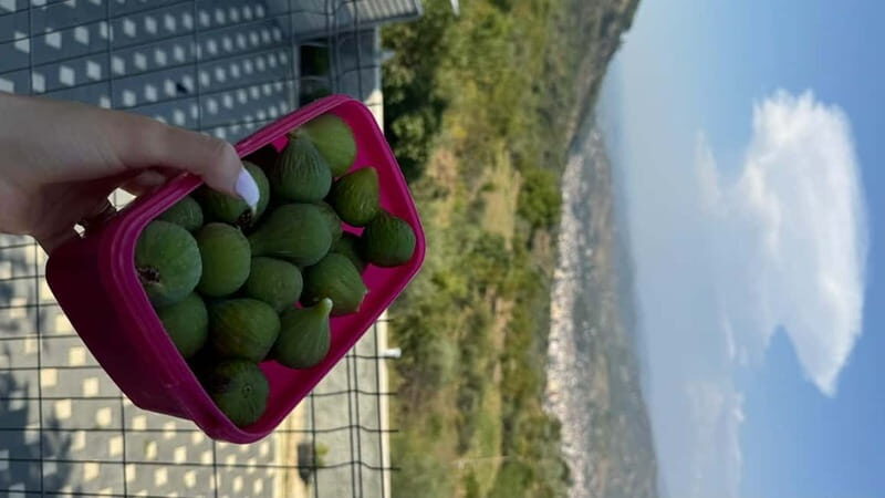 Berat: Farm-to-Table Cooking Class with Local Family - The View from the Roses Terrace