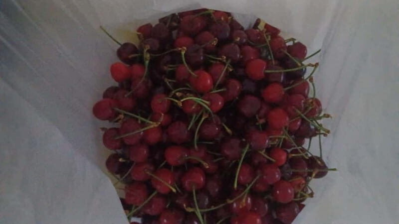 Berat: Farm-to-Table Cooking Class with Local Family - The Experience Providers and Booking Flexibility